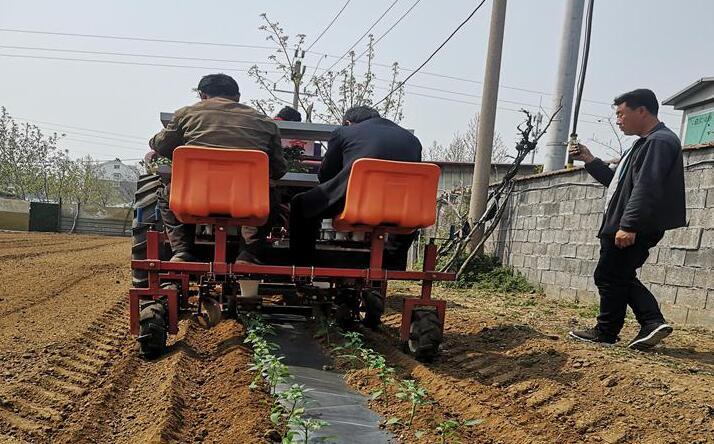 蔬菜移栽机